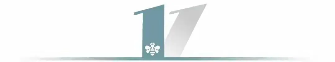 中考成长高分作文|《花开时,我原谅了它》3篇精选范文合集 第1张