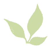 深耕教研凝合力,精研细磨战中考|经开区第五中学校本研修之初三集体备课展示 第10张