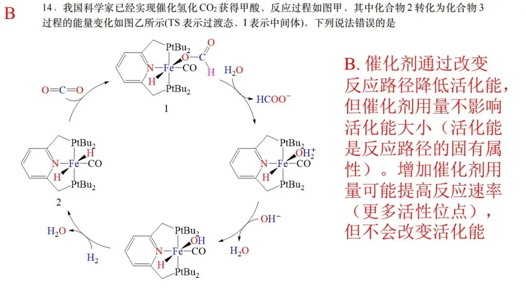 2026年4月天域名校协作体化学试卷解析与讲评 第20张