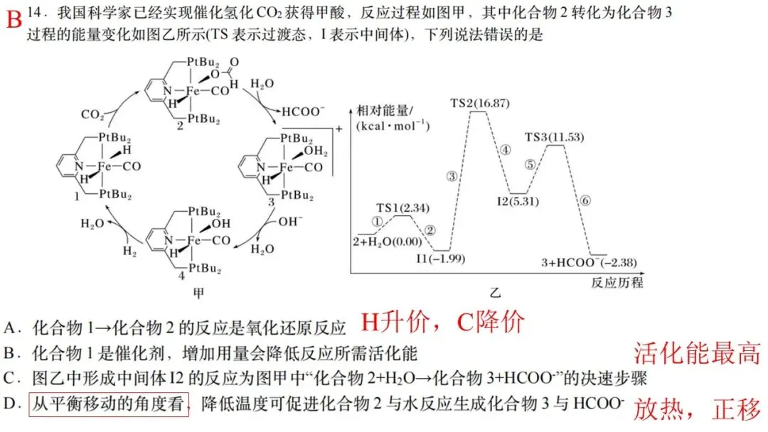 2026年4月天域名校协作体化学试卷解析与讲评 第21张