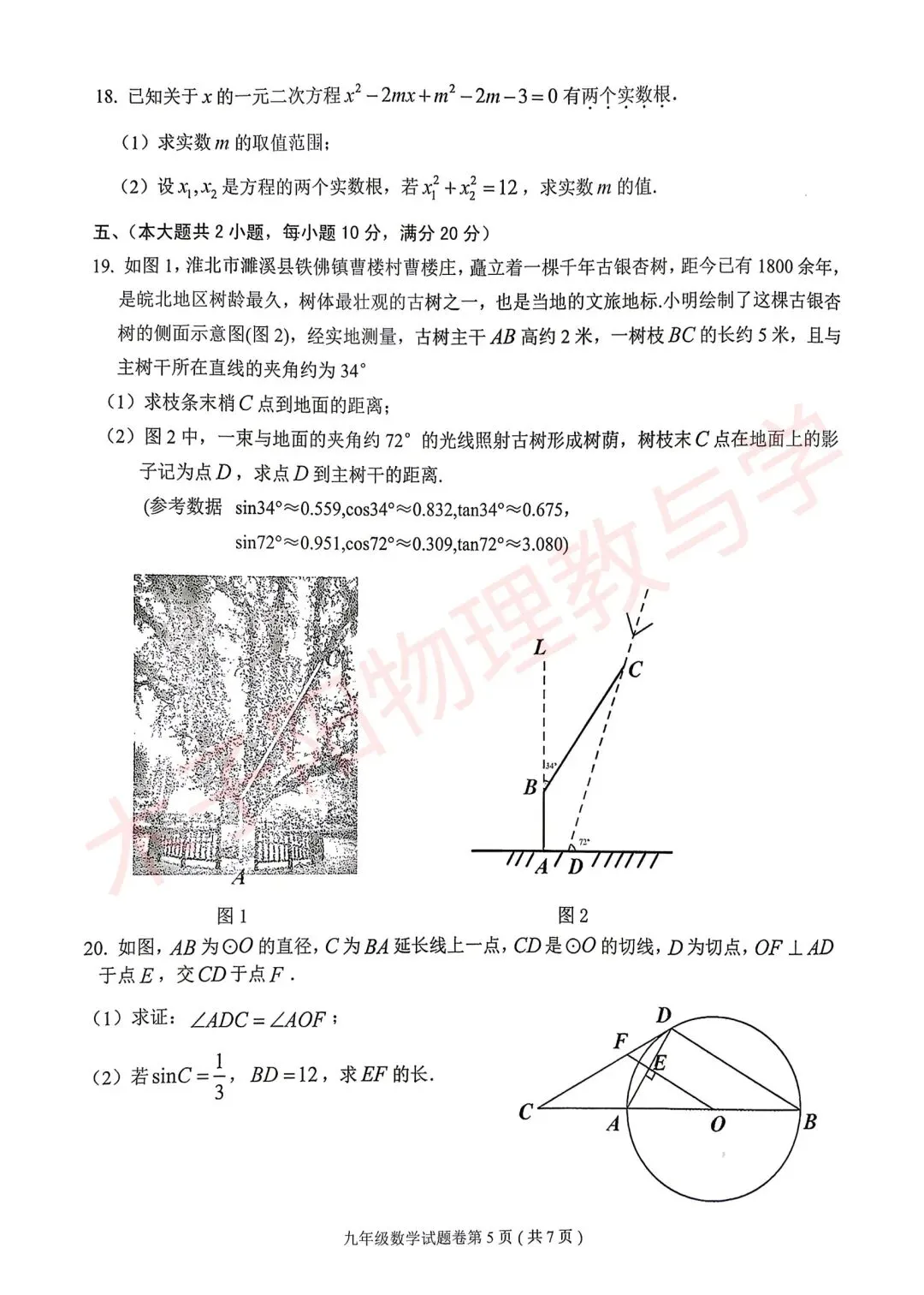 2026年淮北市区中考二模数理化试题及答案 第7张