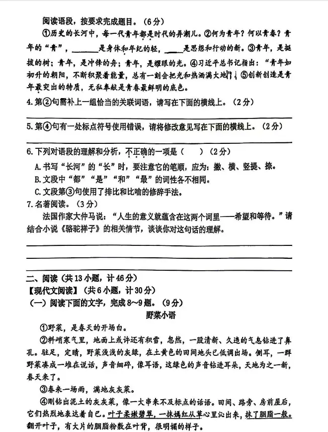 【陕西模拟】2026陕西师大附中七下期中语文考试试题+答案 第3张