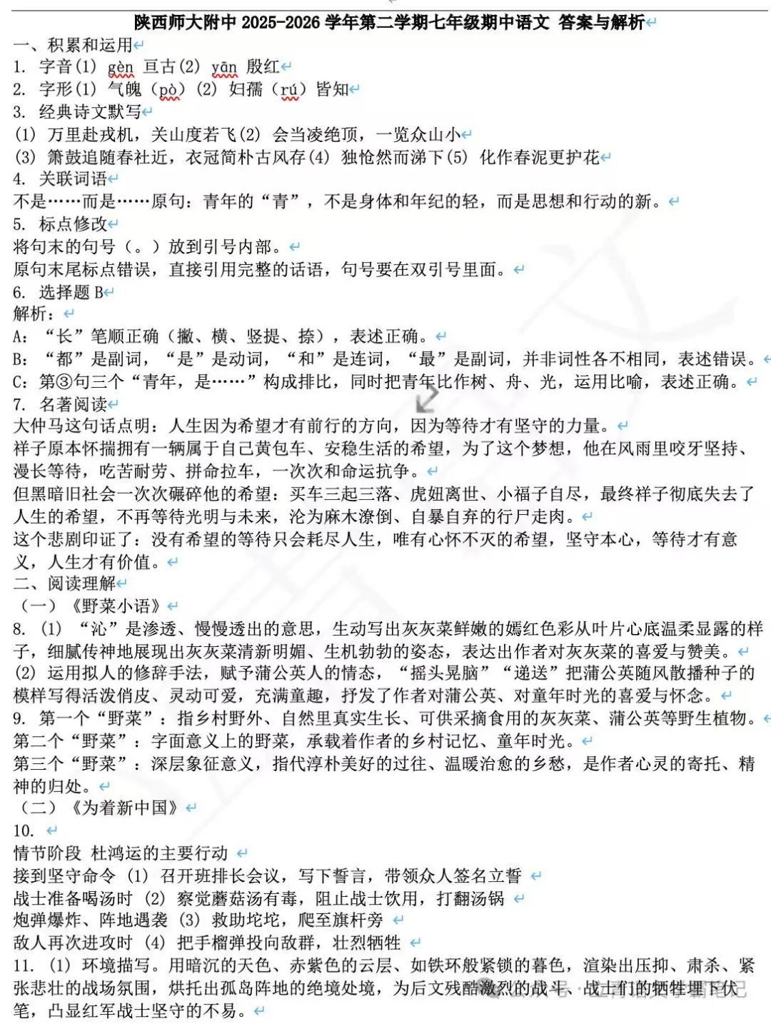 【陕西模拟】2026陕西师大附中七下期中语文考试试题+答案 第11张