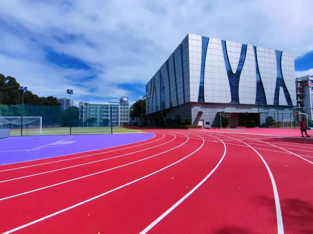 【低分逆袭】厦门市大同中学2026年中考特长生高中阶段体育艺术类(美术、舞蹈、排球)自主招生简章 第5张