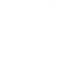 【低分逆袭】厦门市大同中学2026年中考特长生高中阶段体育艺术类(美术、舞蹈、排球)自主招生简章 第9张