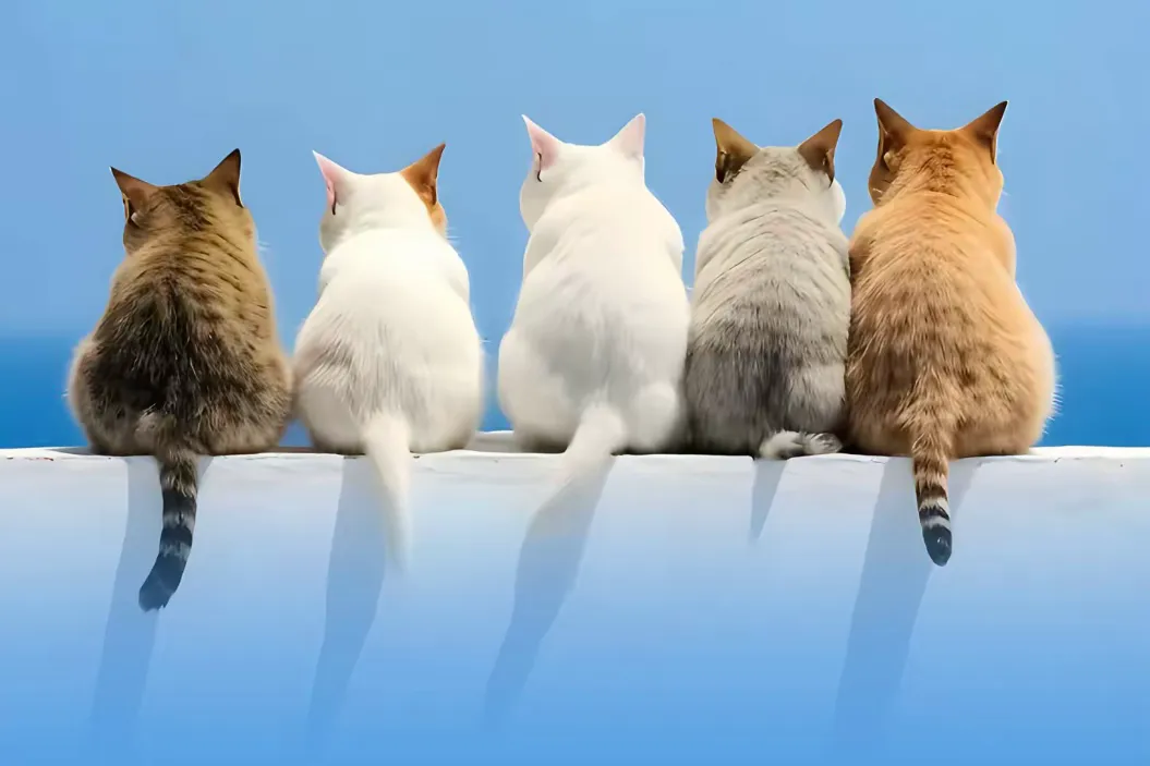 数学 | 中考复习每日打卡 第1张