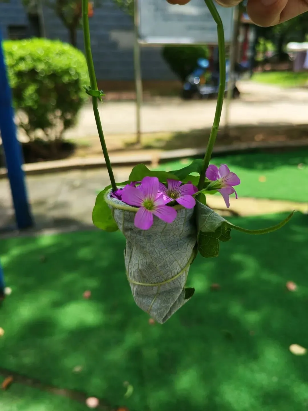 娄底市第二次模拟考试作文《珍惜……,遇见美好》作文分析 第1张