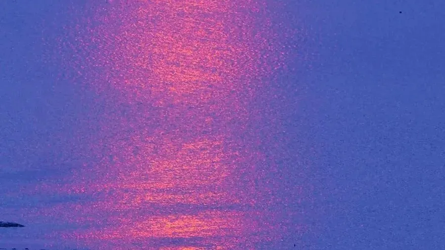 中考作文高分突破 | 2022四川巴中一模《心中的一缕阳光》 第6张