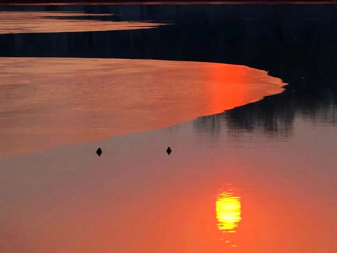 中考作文高分突破 | 2022四川巴中一模《心中的一缕阳光》 第7张