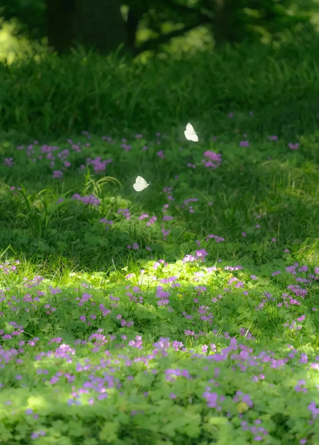 中考成长高分范文素材:瞧,他们!成长文的立意如何突破? 第1张