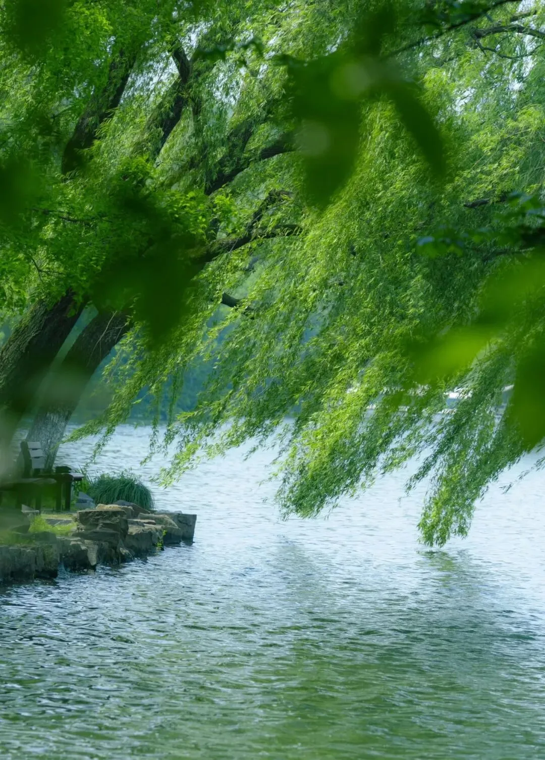 中考成长高分范文素材:瞧,他们!成长文的立意如何突破? 第3张