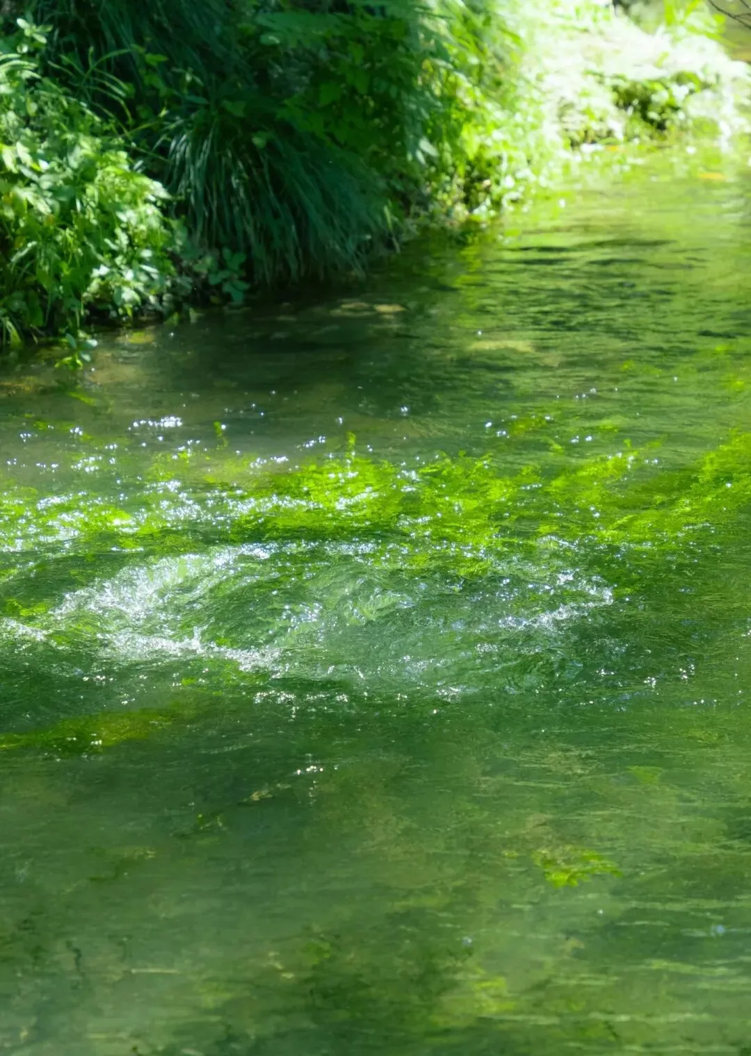 中考成长高分范文素材:瞧,他们!成长文的立意如何突破? 第4张