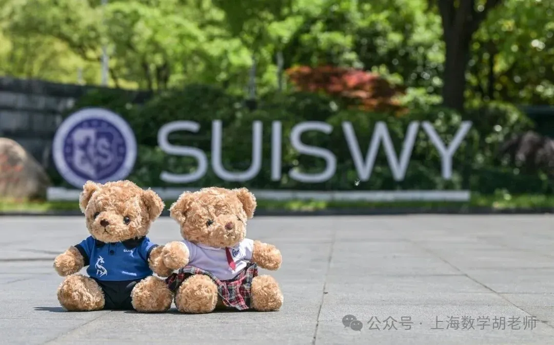 2026上海中考冲刺攻略,必刷题+分层建议,考生家长速看 第31张