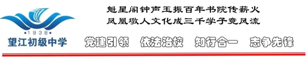 【青林书院·师训研修】立足教材研中考,精准施策提效能|安庆市2026年初三语文模考分析暨复习研讨活动纪实 第13张