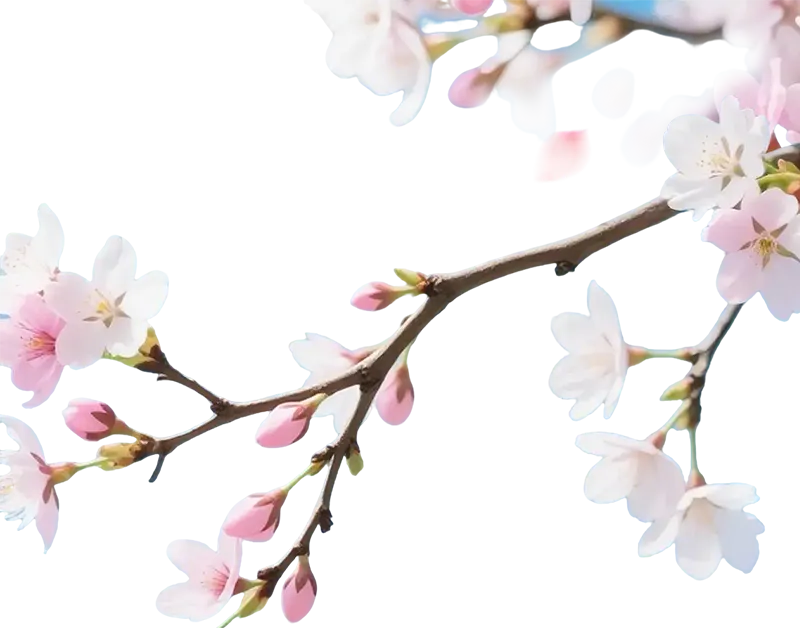 盐城各初中初一期中考试数学试卷 第2张