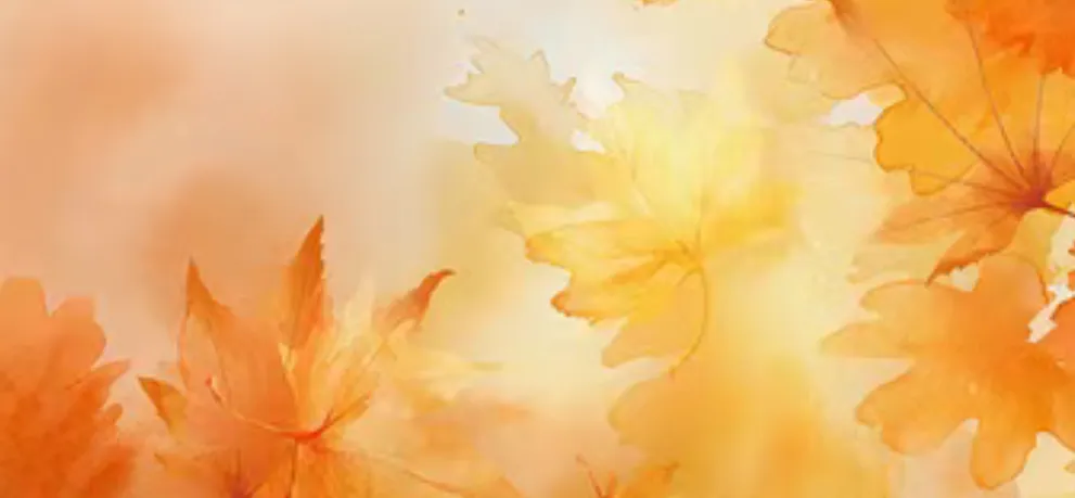 试卷分享:2025学年高一年级第一学期嘉兴八校联盟期中联考英语科 第1张