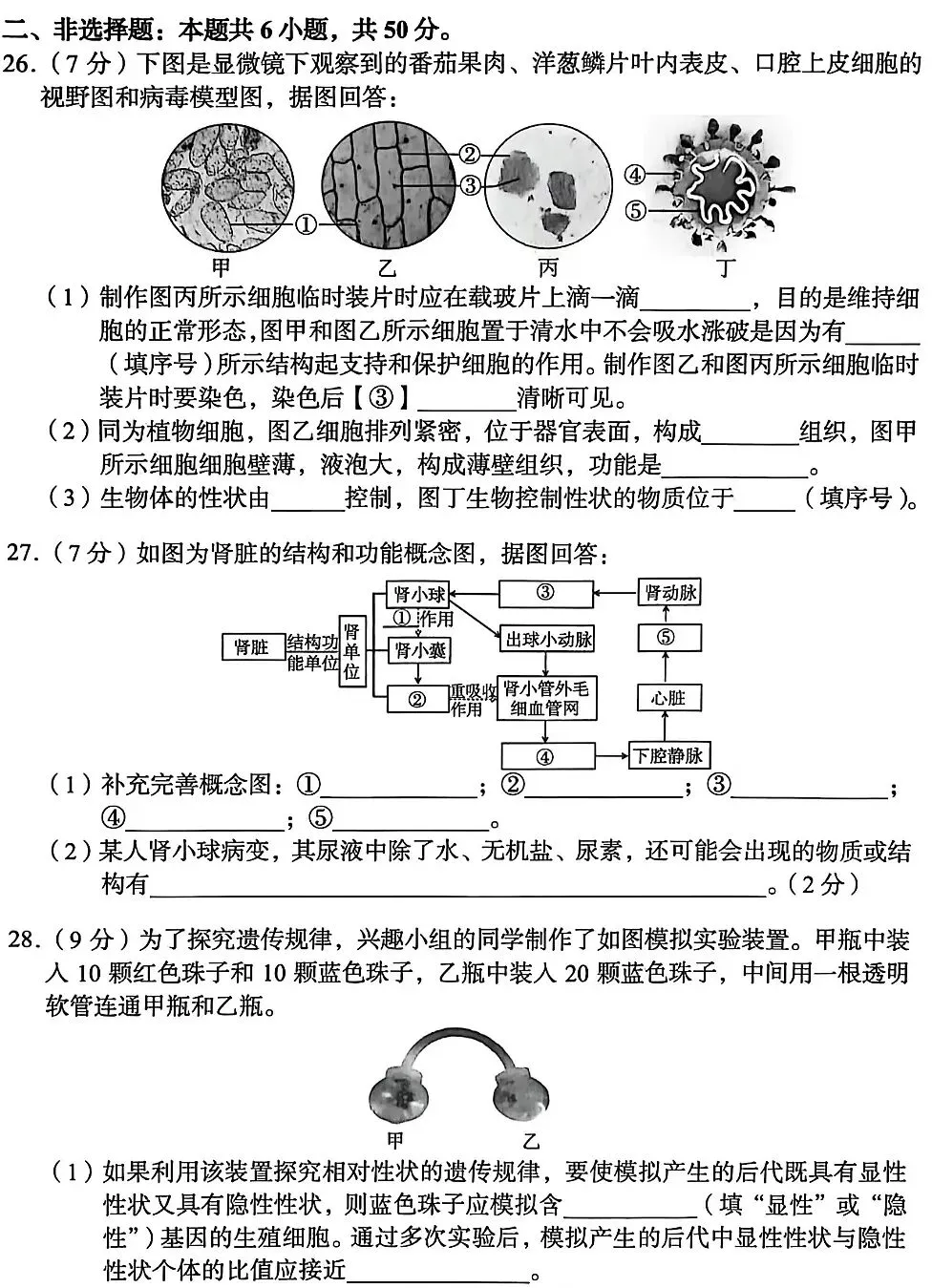 模拟试卷:人教版生物中考模拟卷(六) 第5张