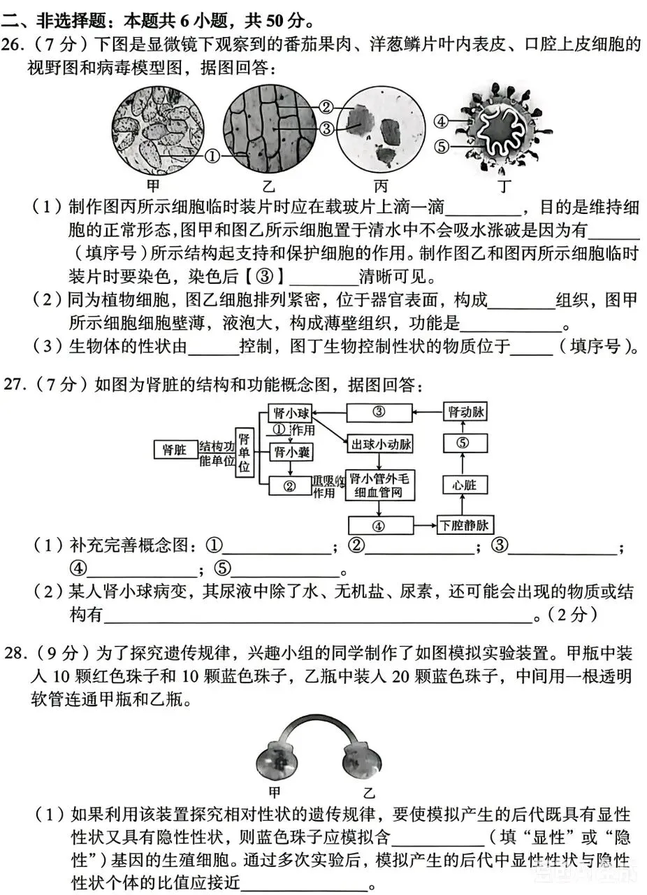 模拟试卷:人教版生物中考模拟卷(六) 第6张