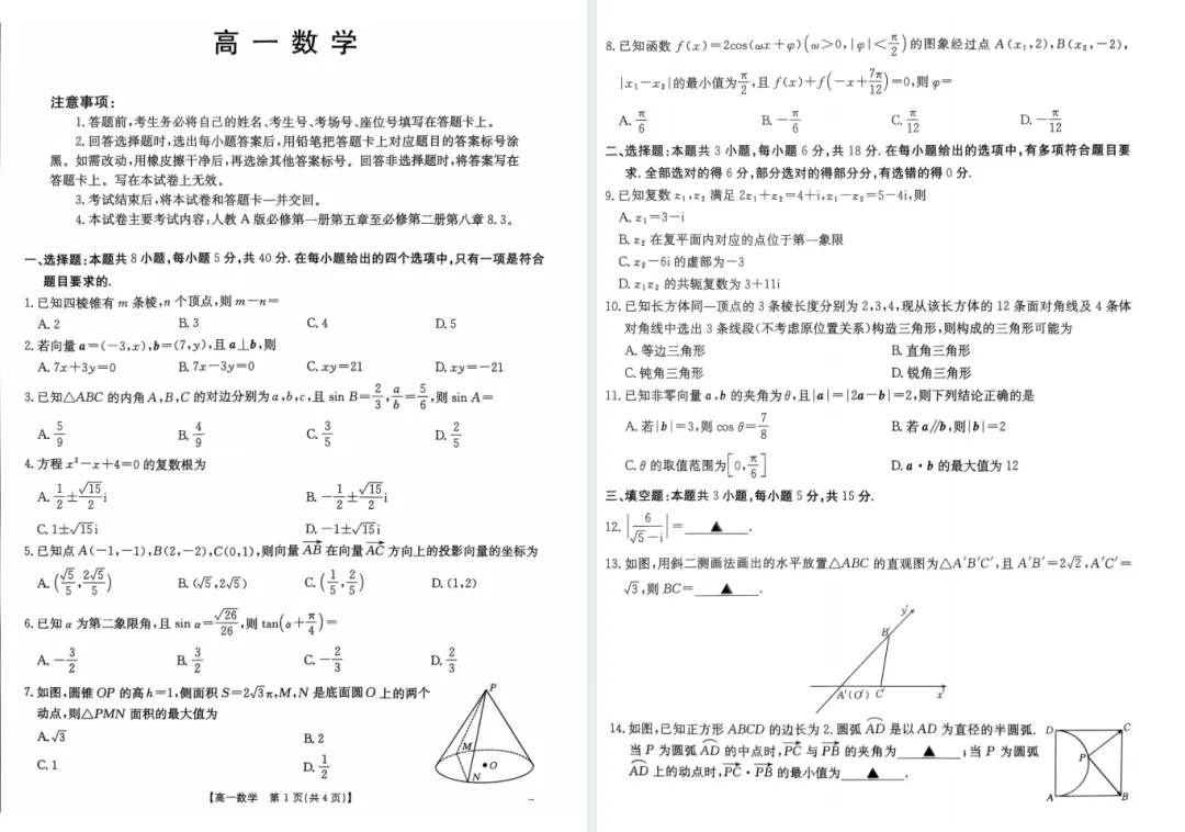 免费领!佛山高一往年S6、H7期中真题汇总 第15张