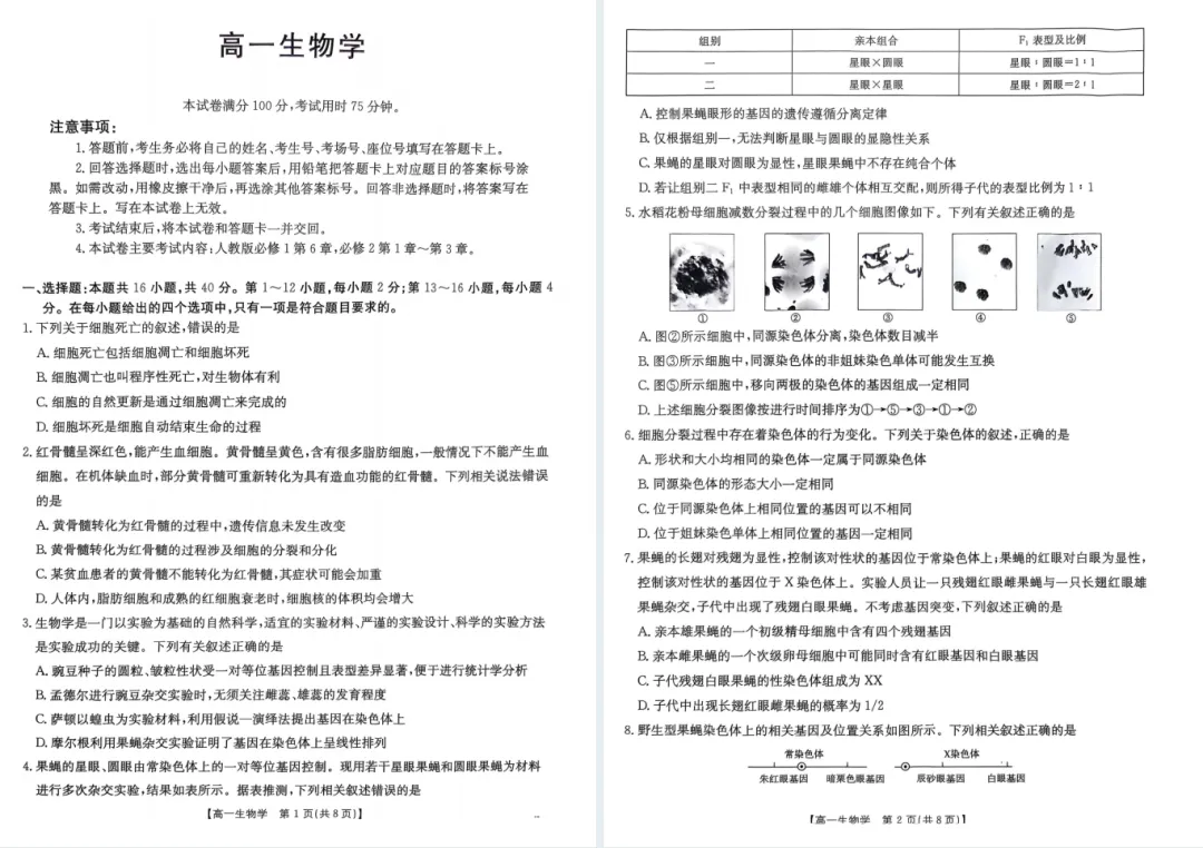 免费领!佛山高一往年S6、H7期中真题汇总 第16张