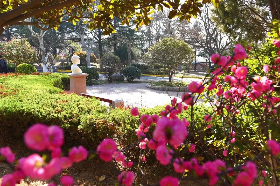 【17中•中考资讯】学长学姐成长手记︱2025级7班 焦文馨:以热爱之名奔赴山海 第11张