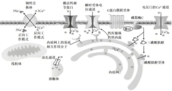 生物试题 | 2026年高考第二次模拟考试(黑吉辽蒙专用)学易金卷03-生物试题 第11张