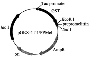 生物试题 | 2026年高考第二次模拟考试(黑吉辽蒙专用)学易金卷03-生物试题 第23张