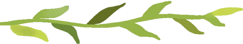 莲医考研 | 每日一题 真题精炼 23考研真题(第1题) 第24张