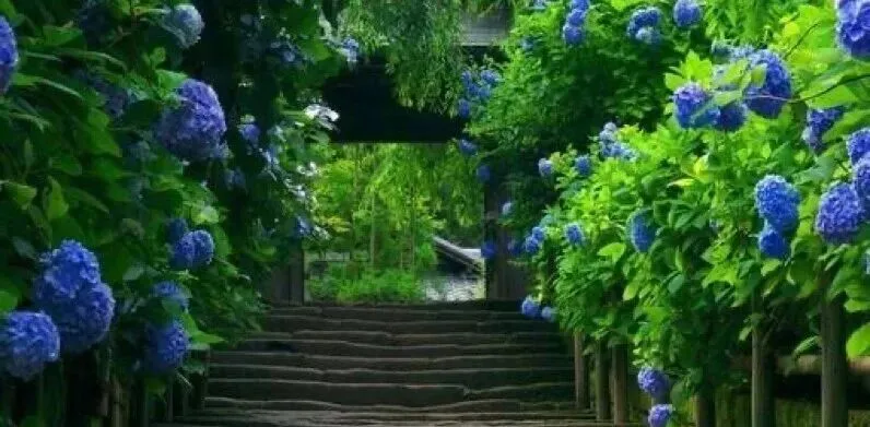 【中考作文】2026年上海市初三二模作文题目新变化分析(个人分析) 第2张