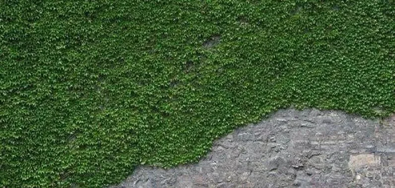 【中考作文】2026年上海市初三二模作文题目新变化分析(个人分析) 第4张