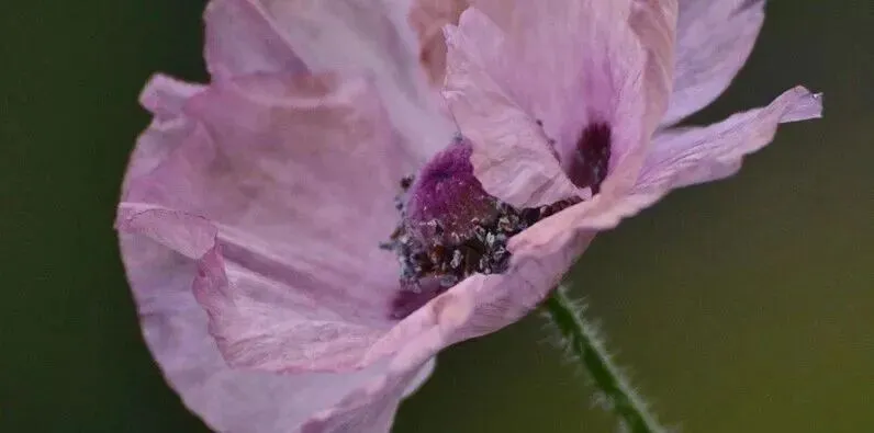 【中考作文】2026年上海市初三二模作文题目新变化分析(个人分析) 第5张