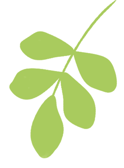 中考研讨聚合力,课题推广启新程 第8张