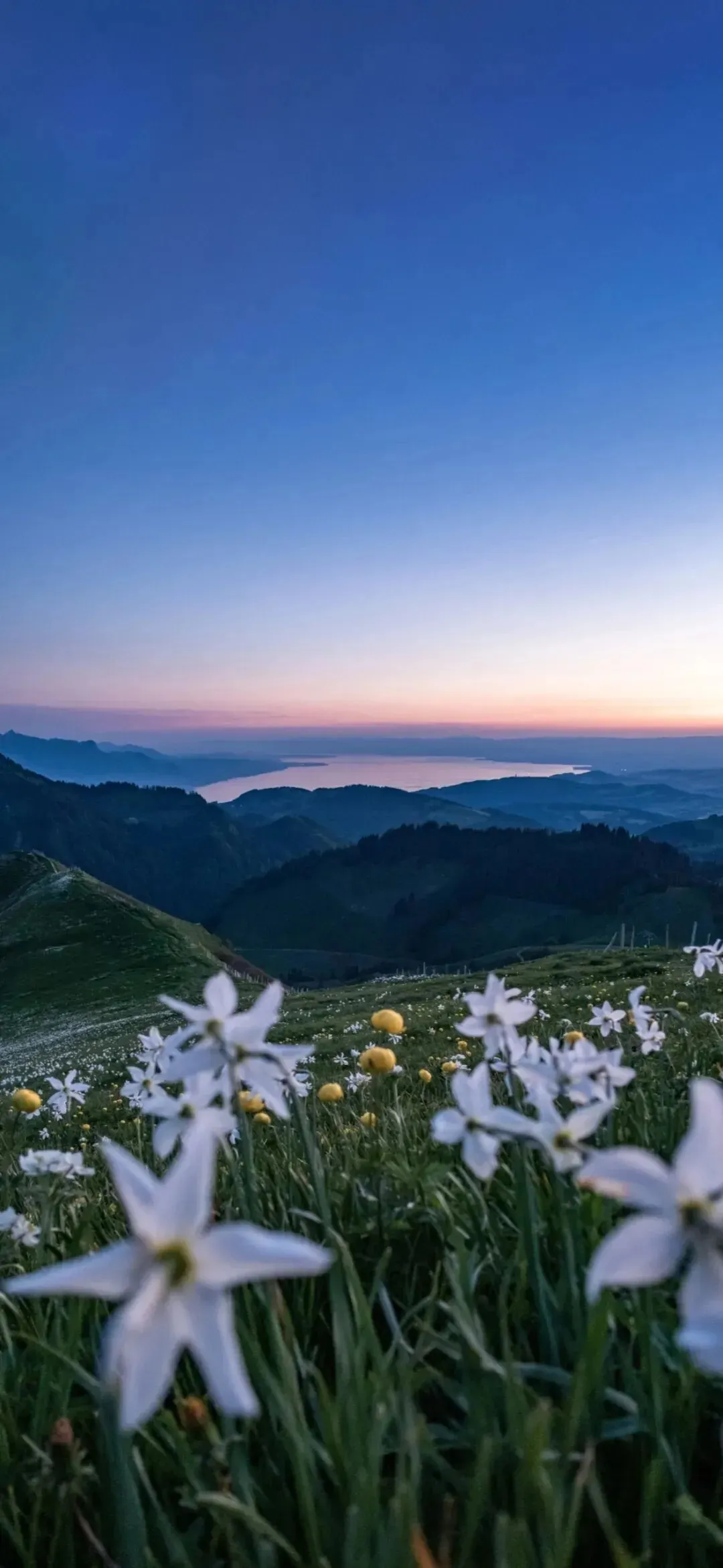 25-26青桐鸣高三4月底数学试卷 第10张