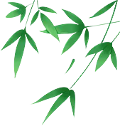 试题研讨 || 我校初中语文组开展中考试题研讨活动 第13张