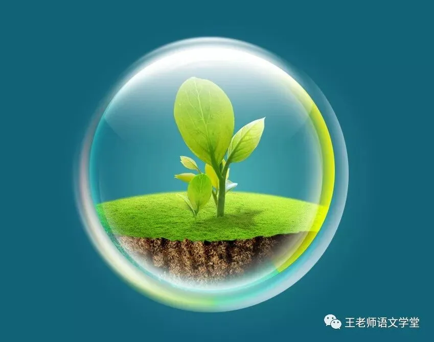 2026中考名著情境式复习题 第3张