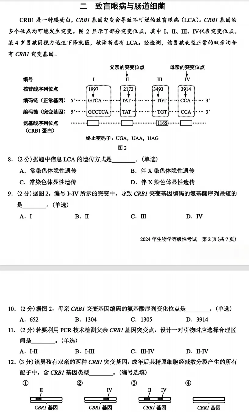 【上海省份】2024年高考生物基因工程真题讲解 第4张