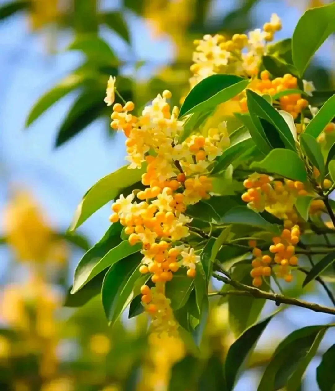 家长及考生朋友,你有中考焦虑吗?今天我来给你普及一下:中考数学答题时间分配技巧,助你稳拿高分 第1张