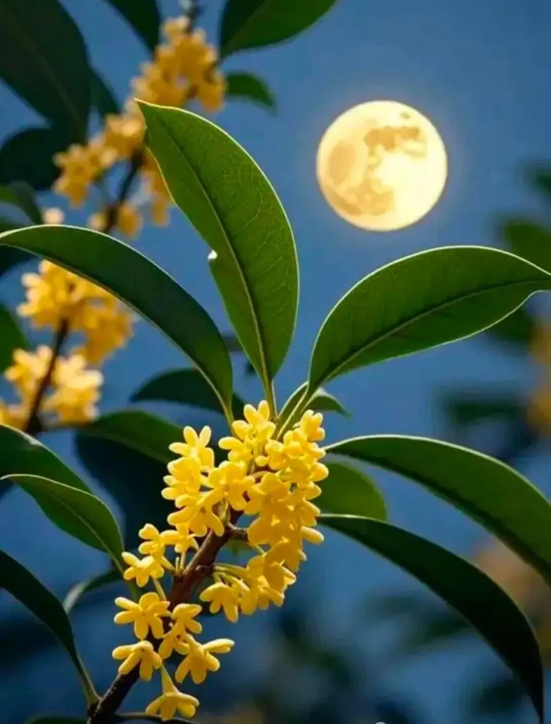 家长及考生朋友,你有中考焦虑吗?今天我来给你普及一下:中考数学答题时间分配技巧,助你稳拿高分 第3张