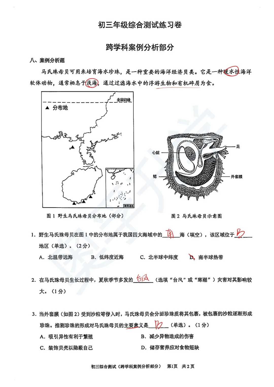 全了!2026上海16区初三二模试卷&答案(全科) 第28张