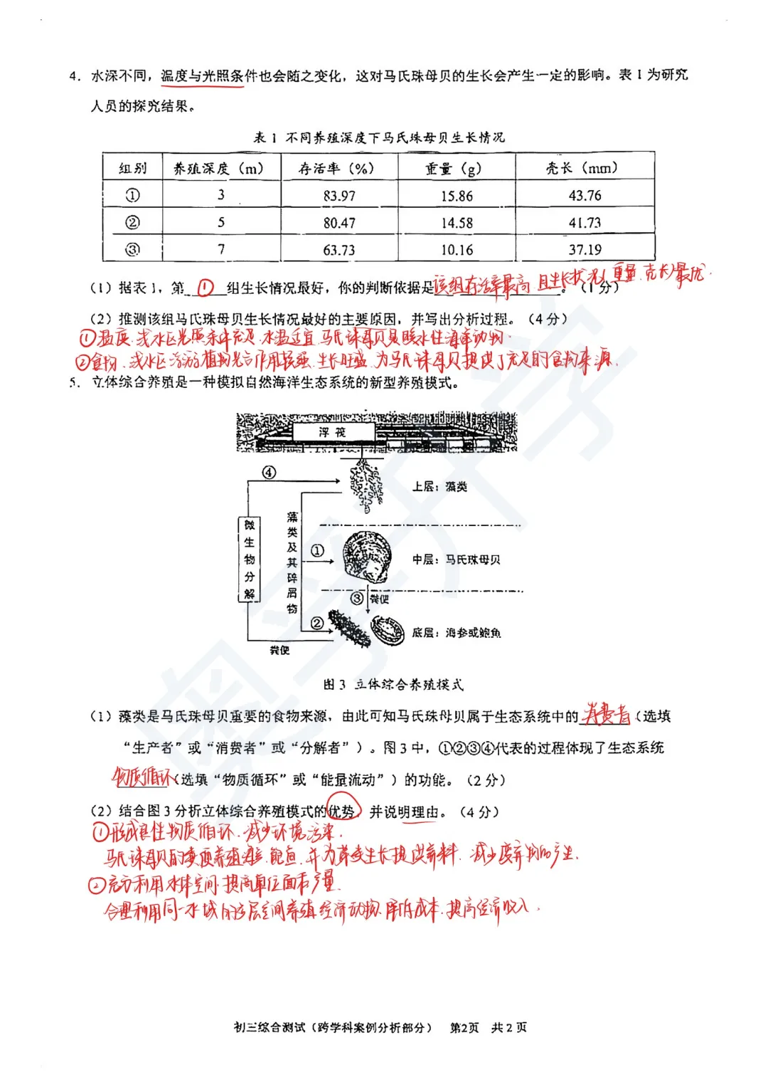全了!2026上海16区初三二模试卷&答案(全科) 第29张