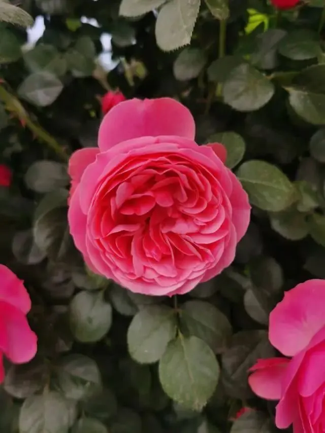 中考在即,五一我没给孩子安排复习,只做了这件事 第1张