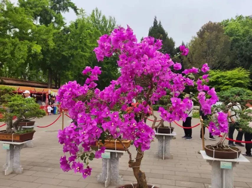 中考在即,五一我没给孩子安排复习,只做了这件事 第2张