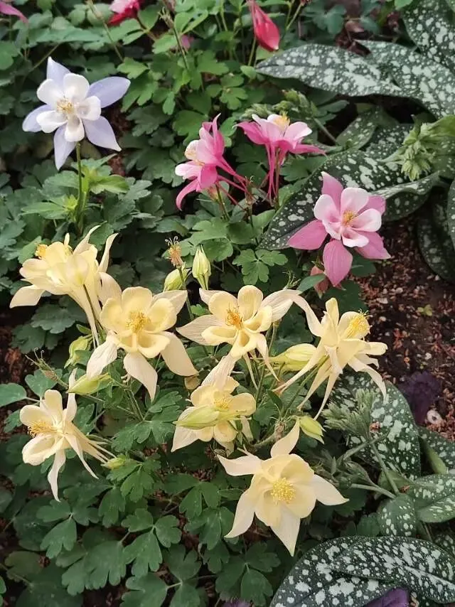 中考在即,五一我没给孩子安排复习,只做了这件事 第3张