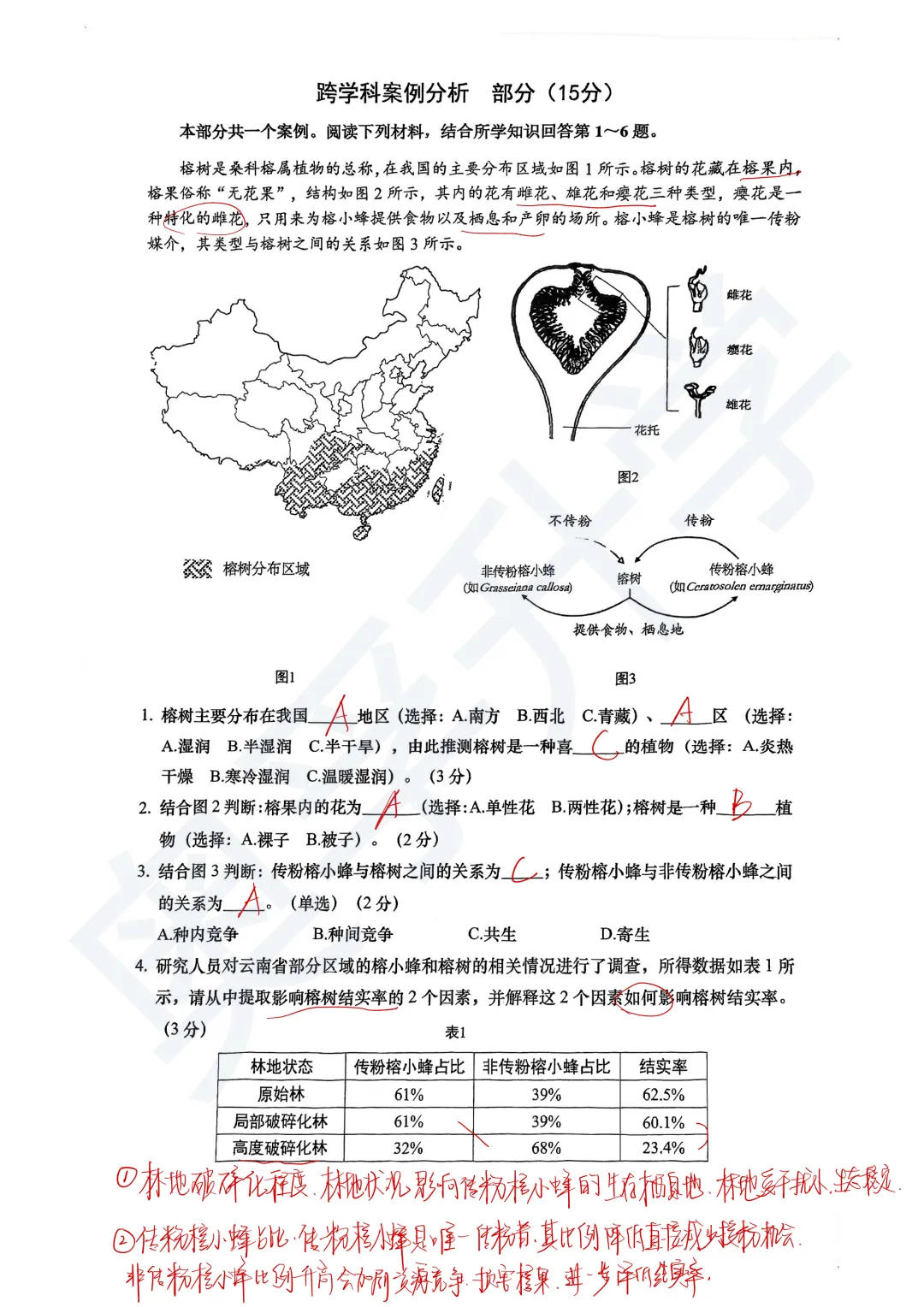 全了!2026上海16区初三二模试卷&答案(全科) 第124张