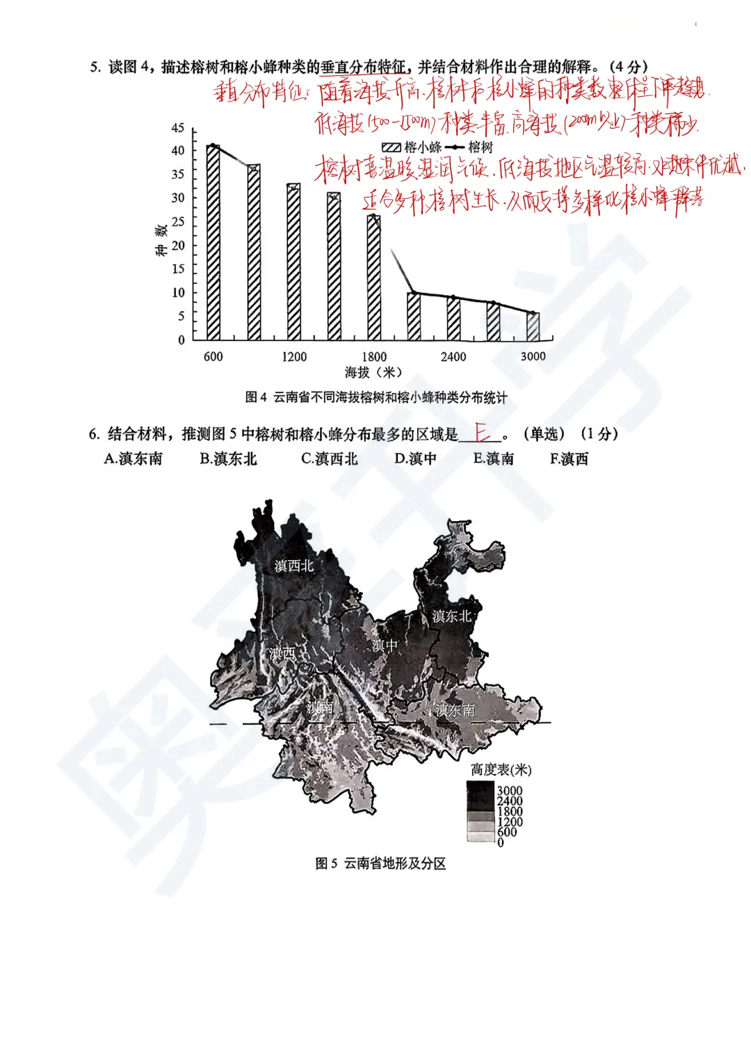 全了!2026上海16区初三二模试卷&答案(全科) 第125张