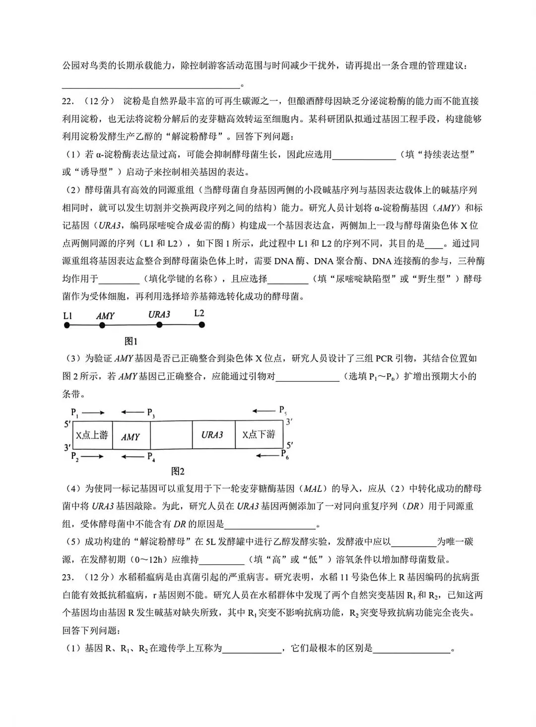 河北省张家口2026高三二模生物试卷及答案 第9张