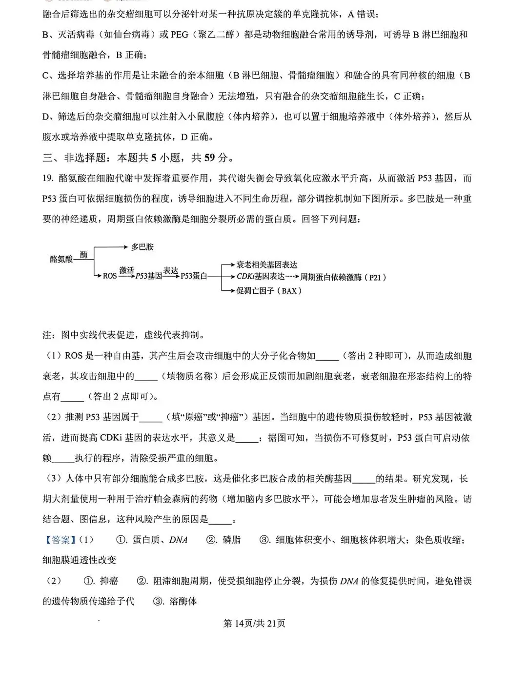 河北省张家口2026高三二模生物试卷及答案 第24张