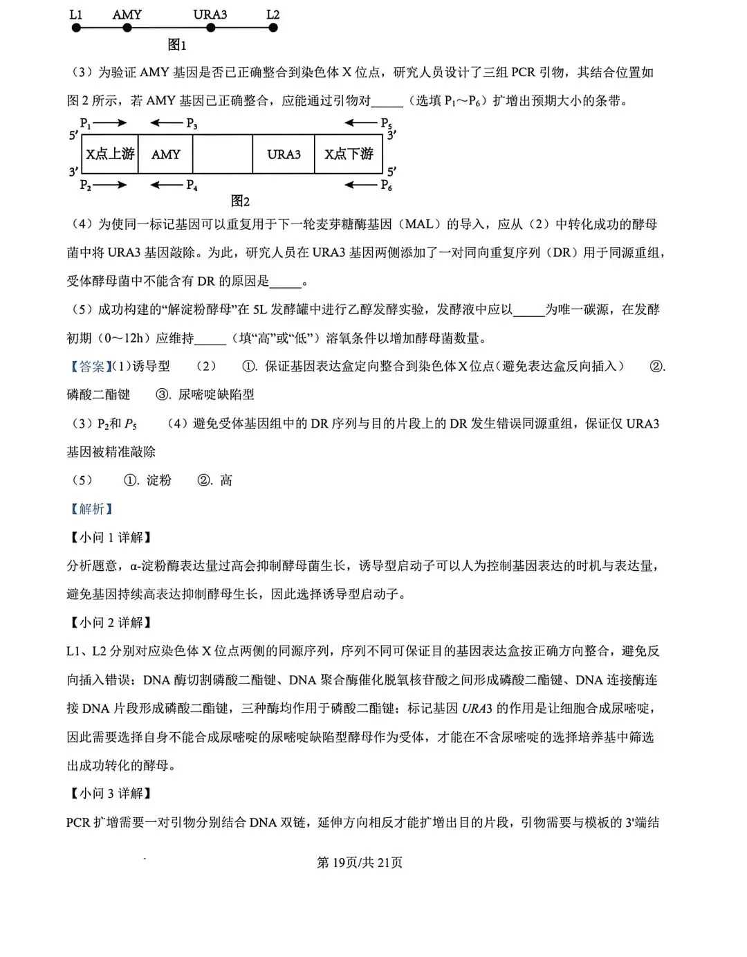 河北省张家口2026高三二模生物试卷及答案 第29张