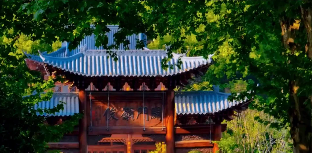 武昌高中,等你来!(内附中考志愿填报信息) 第2张