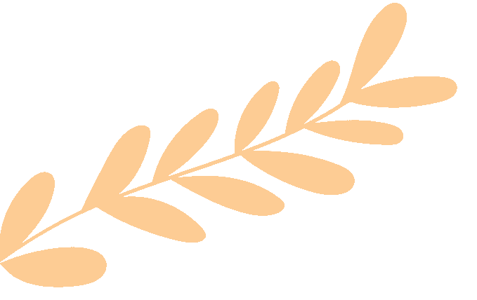 毕业 / 中考后才择校?你可能错失了这些关键机会! 第14张